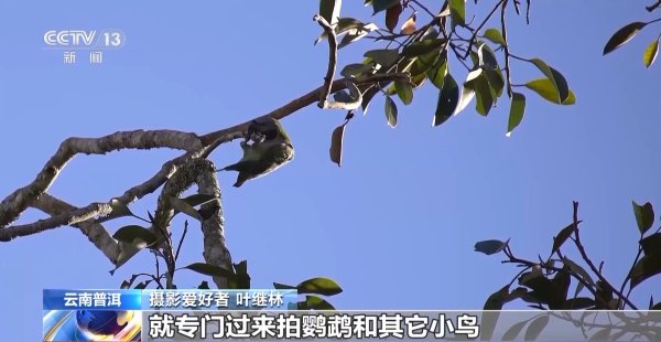 嘉信资本 公园长满“打鸟”大爷 银发一族助力小城“观鸟经济”